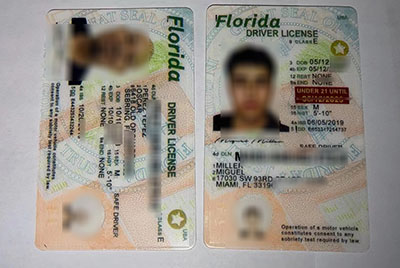 Buy Fake Florida Driver's License