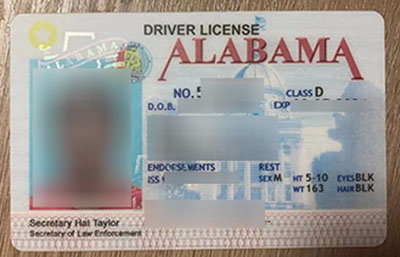 Buy Fake Alabama Driver's License