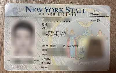 Buy fake New York Driver's License