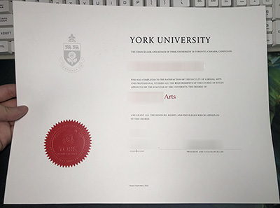 fake YorkU diploma
