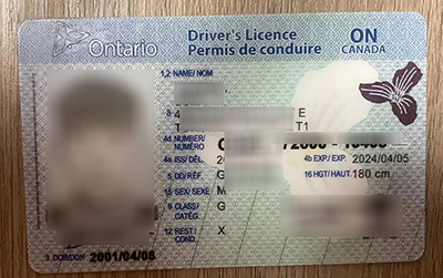 Read more about the article Stunning Ideas About Buy Ontario ID, Buy Ontario Driver’s Licence