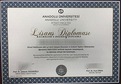 Read more about the article The Best Reason to Buy Anadolu University Diploma