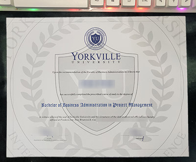 Read more about the article Golden Rule to Buy Yorkville University Diploma