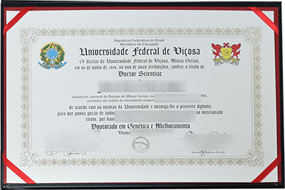 UFV Diploma