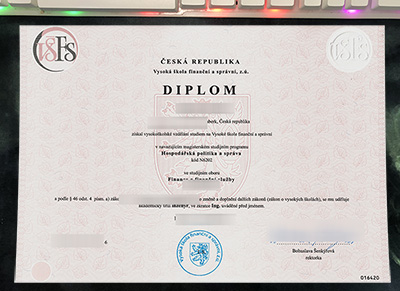 VŠFS Diploma