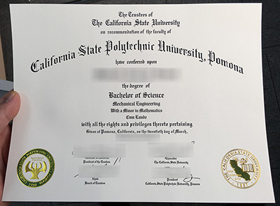SPP Diploma