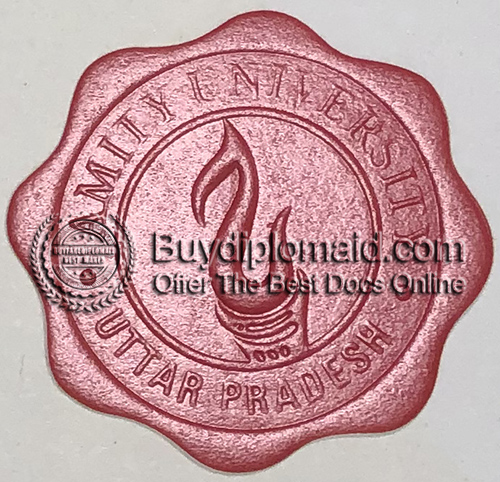 Amity University Diploma seal