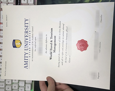 Amity University Diploma