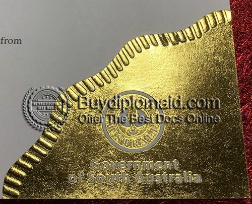TAFE SA Diploma seal