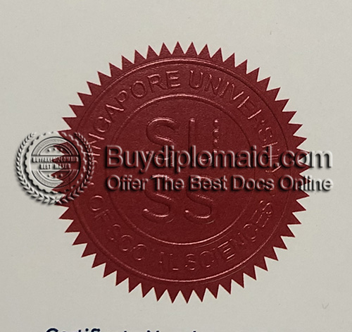 SUSS Degree seal