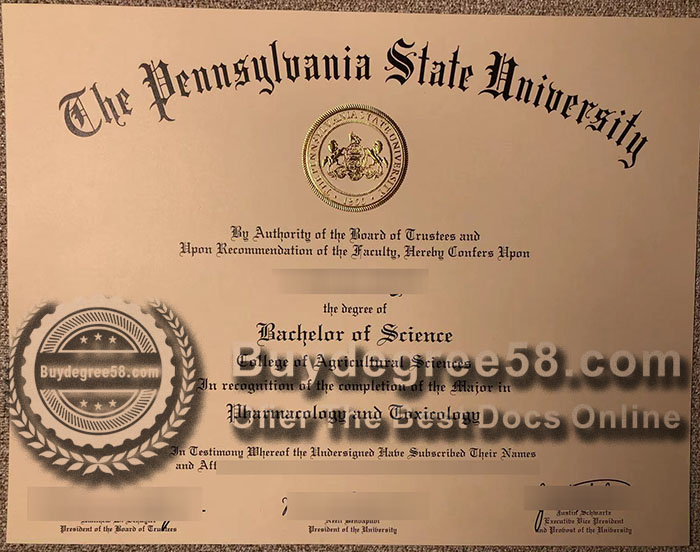 fake PSU degree