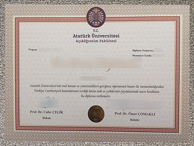 Read more about the article How much to buy a fake Atatürk Üniversitesi diploma in Türkiye?