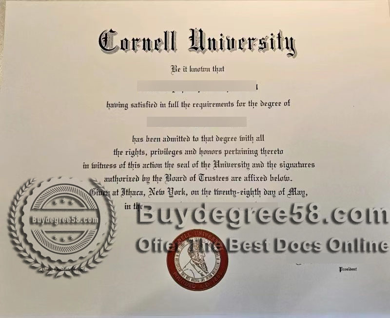 Cornell University degree