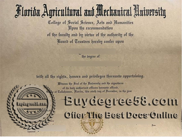 Florida A&M University degree
