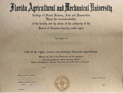 fake Florida A&M University degree