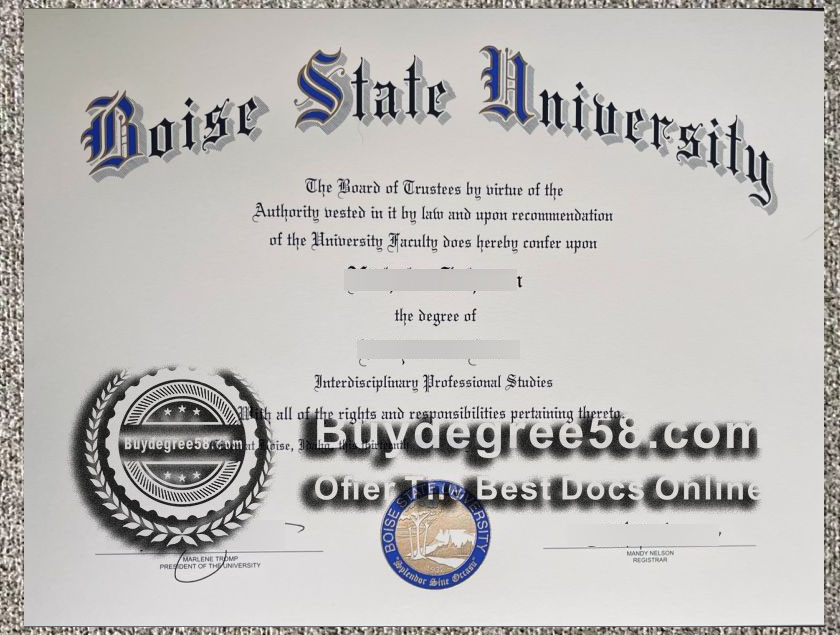 Boise State degree